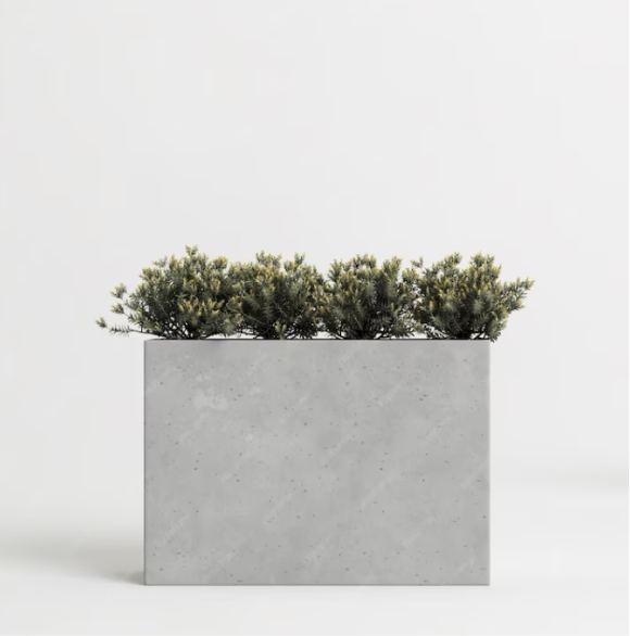 Proceso creativo Maflo